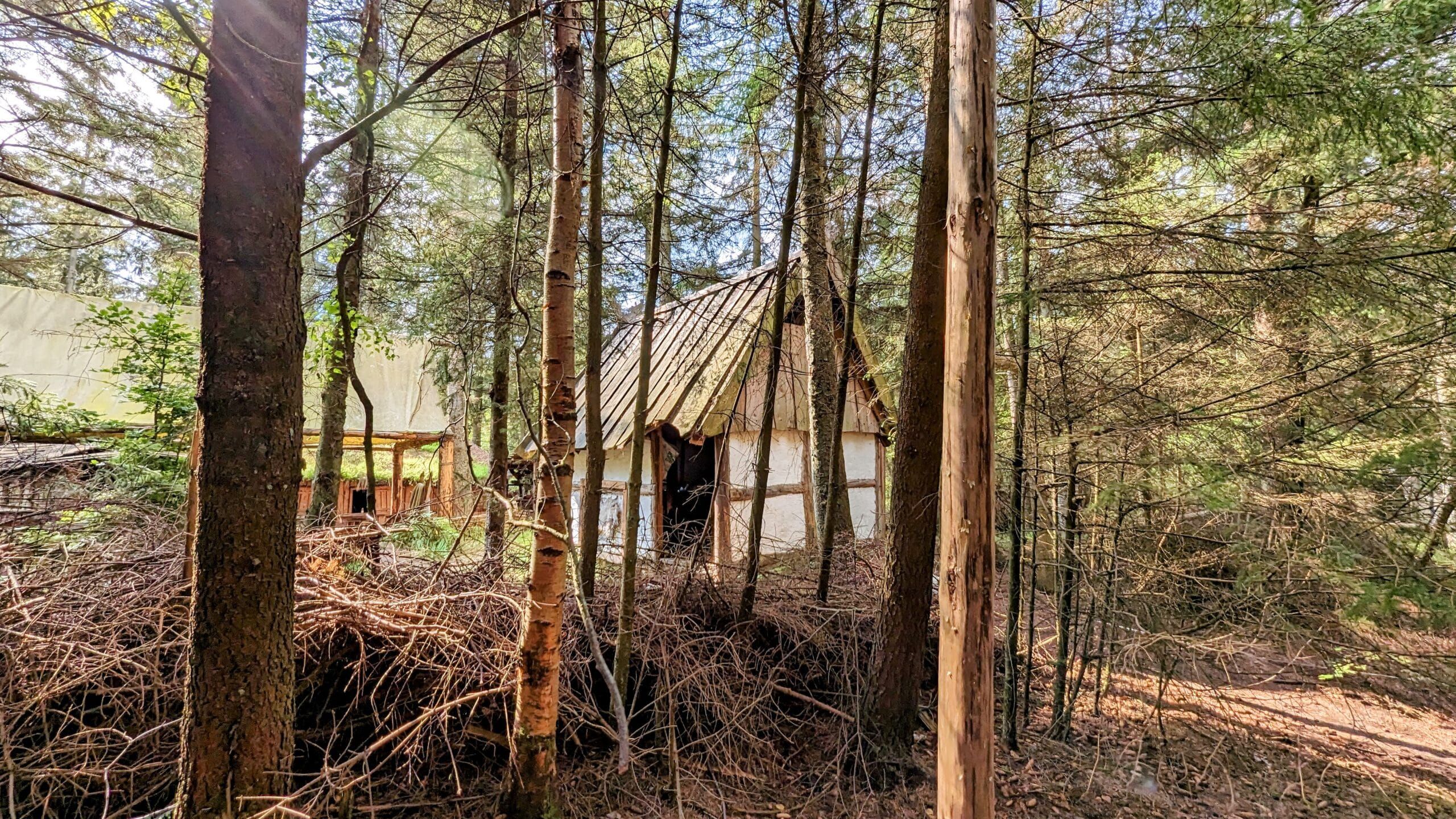 Eine Holzhütte mitten im Wald.
