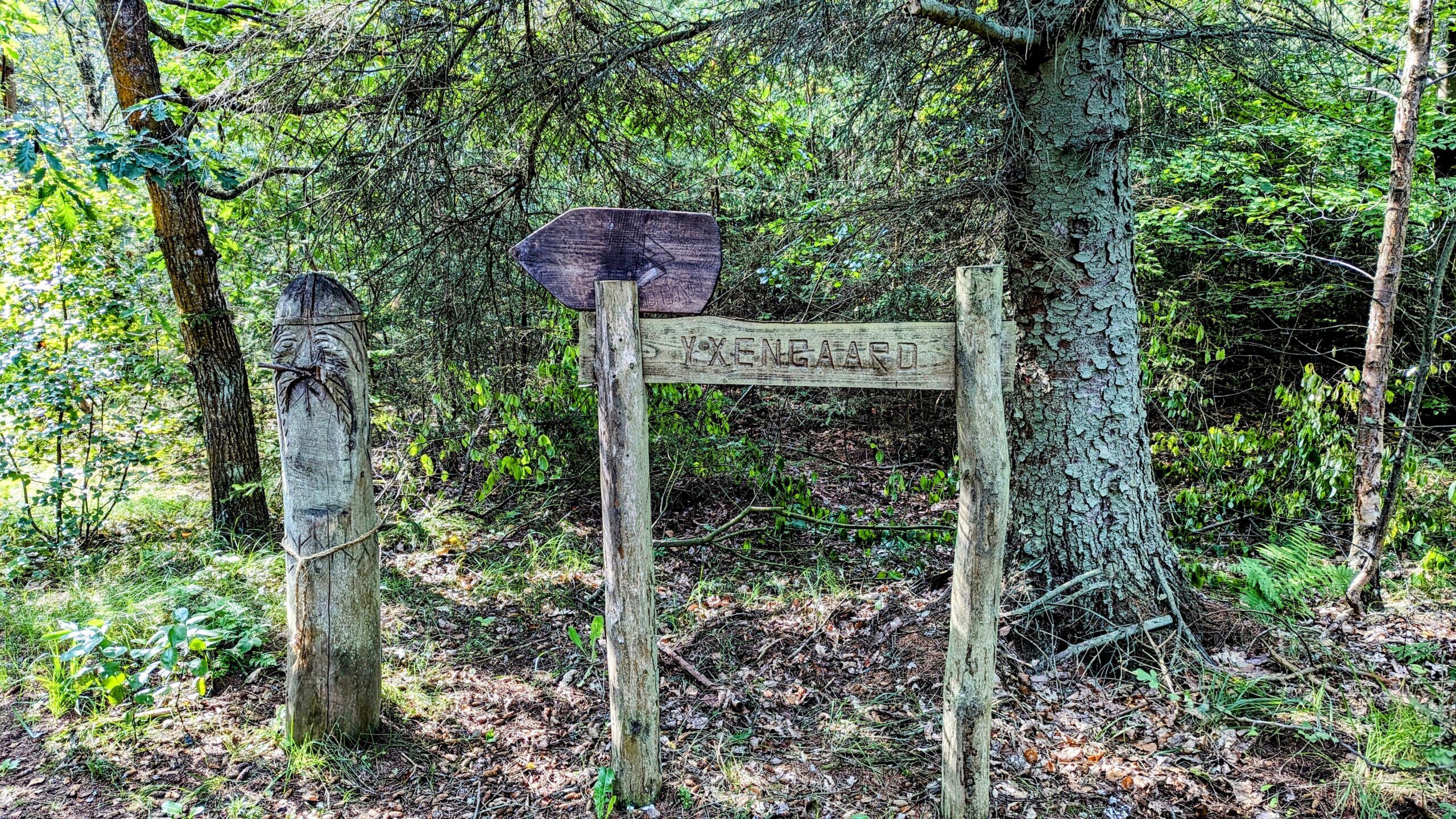 Ein Holzschild mitten in einem Waldgebiet.