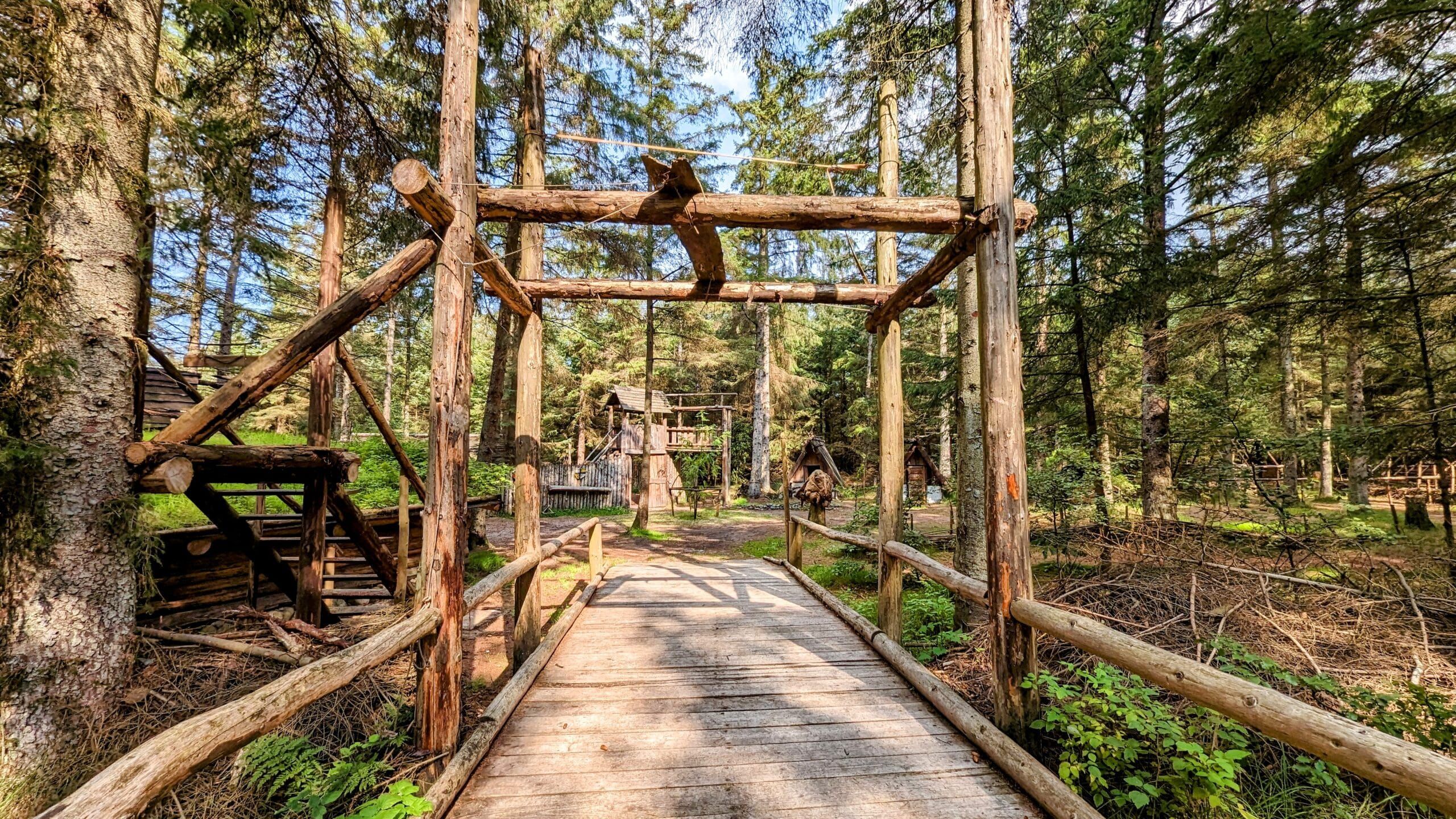 Eine Holzbrücke im Wald.