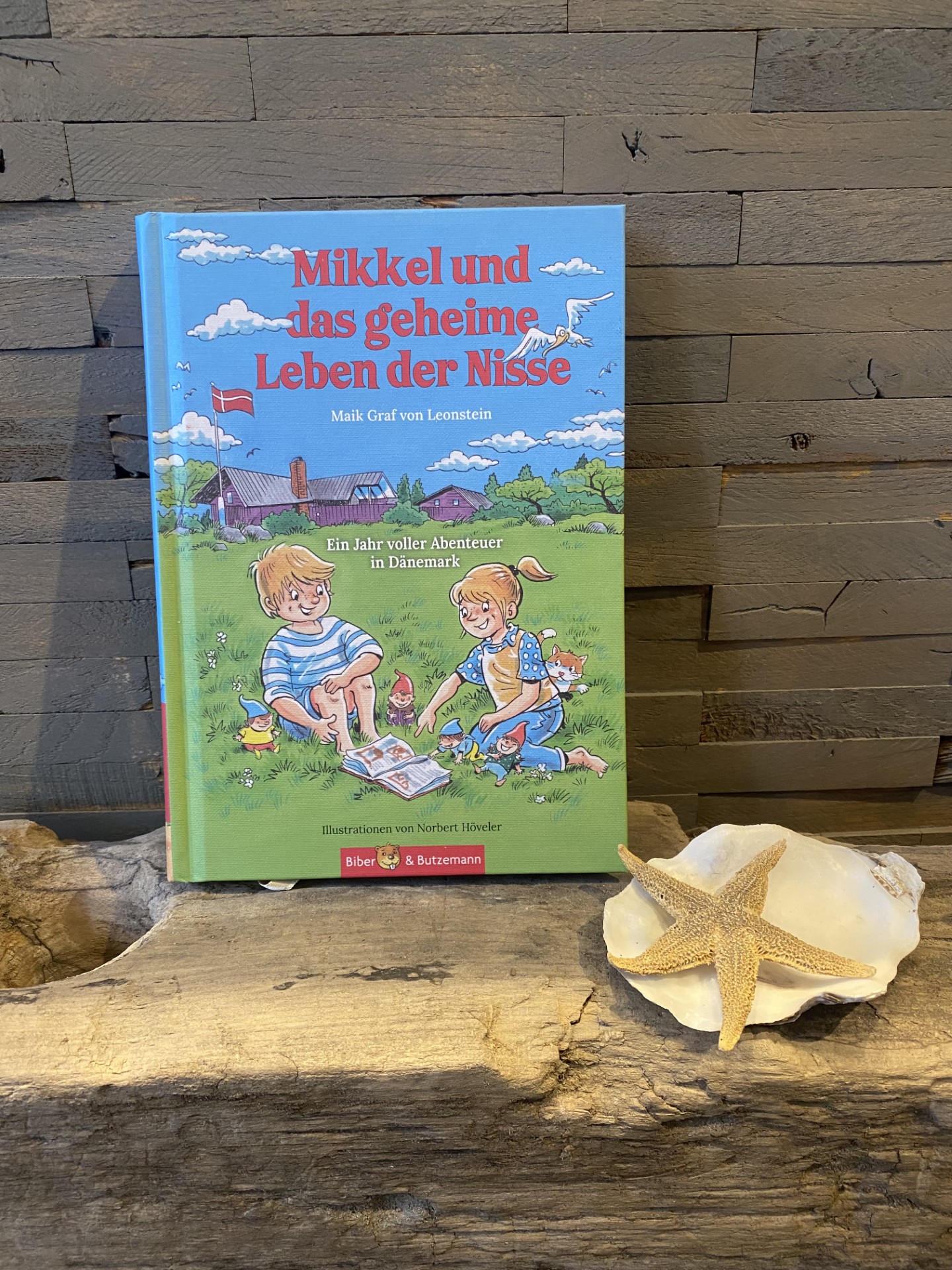 Kinderbuch Mikkel und das geheime Leben der Nisse – Buchcover mit Muschel und Seestern