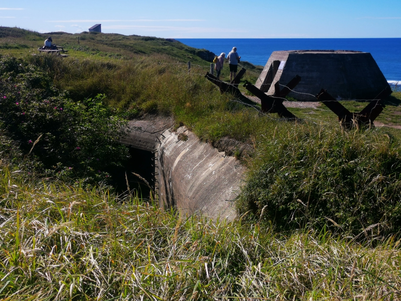 Bild 2 von Bunkermuseum Hirtshals 10. Batterie